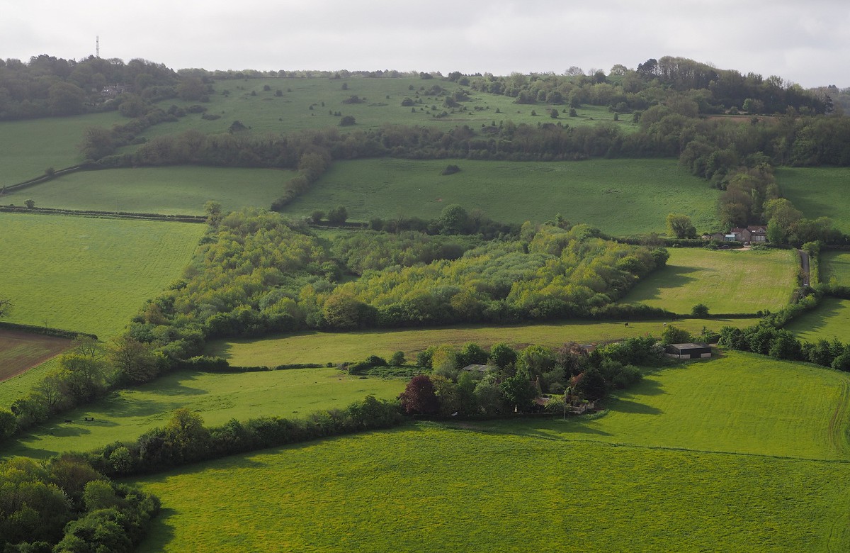 Aerial view of The Retreat community woodland