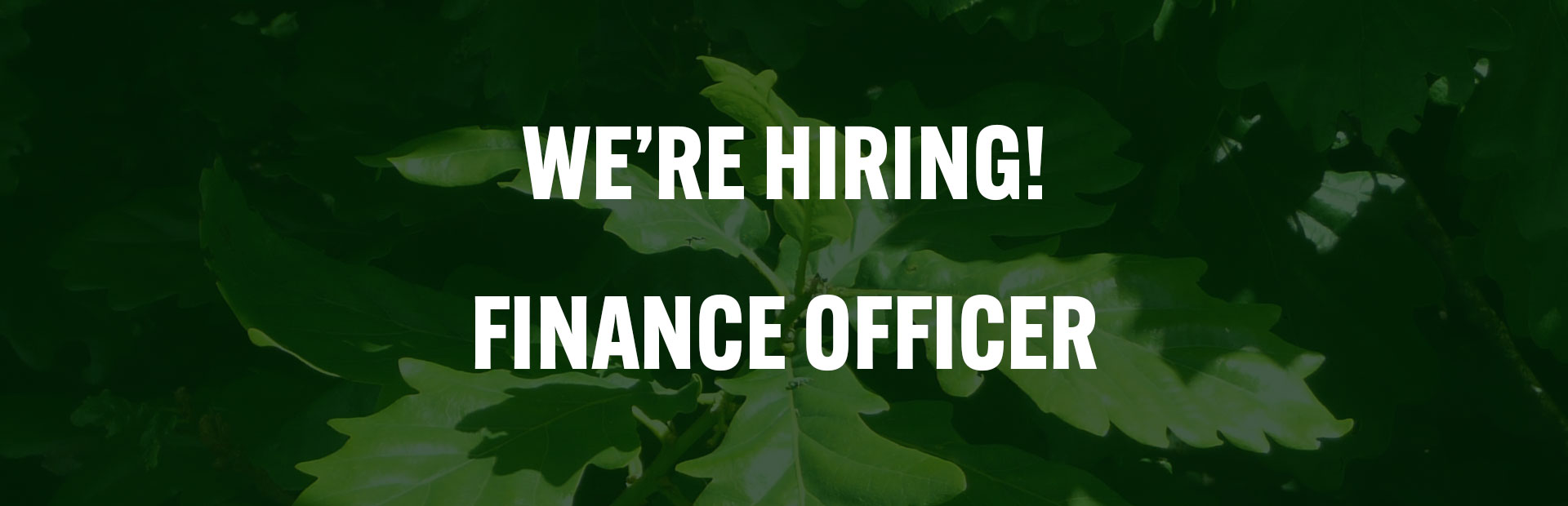 NEW VACANCY for a Finance Officer!