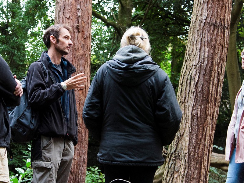 Book Accredited Forest School Training