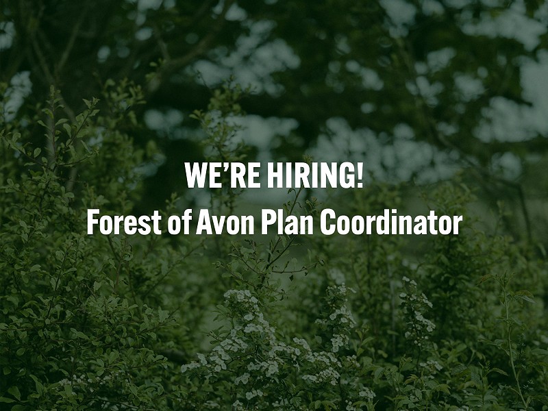 Forest of Avon Plan Coordinator: Applications now CLOSED.