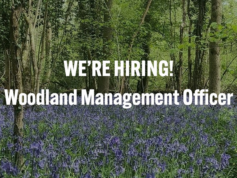 We're hiring a Woodland Management Officer